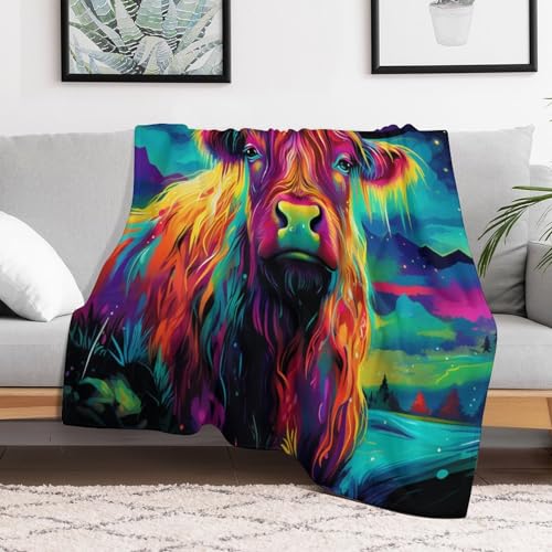 Couverture en flannel douce lavable en machine pour éliminer le froid du lit