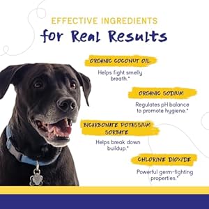 PupGrade Dental Care Water Additive Solution – Advanced Oral Care for Dogs – Dental Rinse for Fresh Breath to Fight Against Bad Breath, Plaque, and Tartar