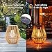 Homemory 2 Pack Solar Lanterns Outdoor Waterproof Hanging Lights, Outside Solar Lamp Decorative for Garden, Yard, Patio, Porch, Trees, Lawn, Pathway, Table