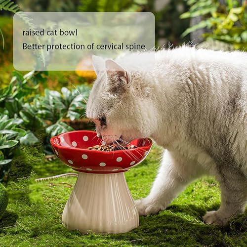 Pilz Futternapf Katze, Katzennapf Erhöht aus Keramik, Katzennapf für Katze Hunde Welpe Futter Und Wasser, Fressnapf und Wassernapf, schützt die Wirbelsäule des Haustiers (Schwarz)