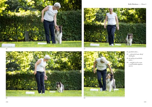 Rally Obedience: Grundlagen, Parcours-Pläne, Trainingsspiele, Mit allen neuen nationalen und internationalen Wettbewerbsbestimmungen
