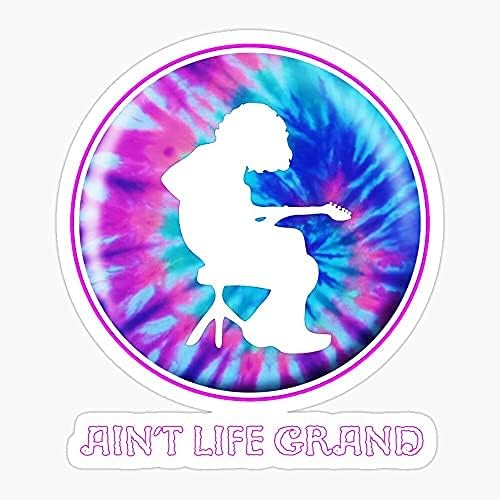 decal Pack of 2 3 inches Stickers - Life Dye Wsmfp Panic Tie Widespread Grand Aint WSP Sticker Graphic - Die Cut Sticker, High Resolution Top Grade Vinyl