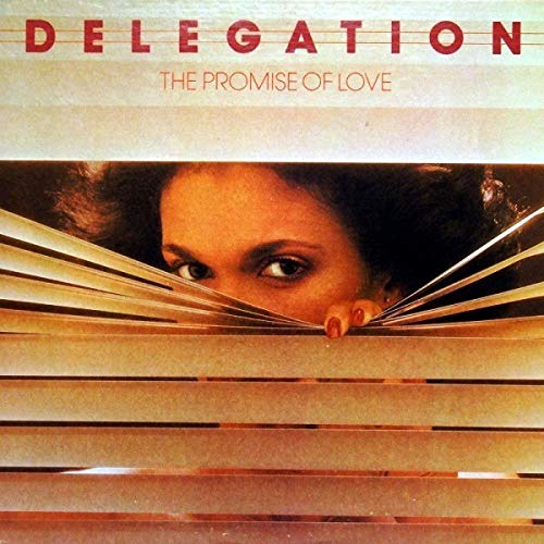 DELEGATION / The Promise Of Love 中古レコード Amazon.com: THE PROMISE OF LOVE [LP VINYL]