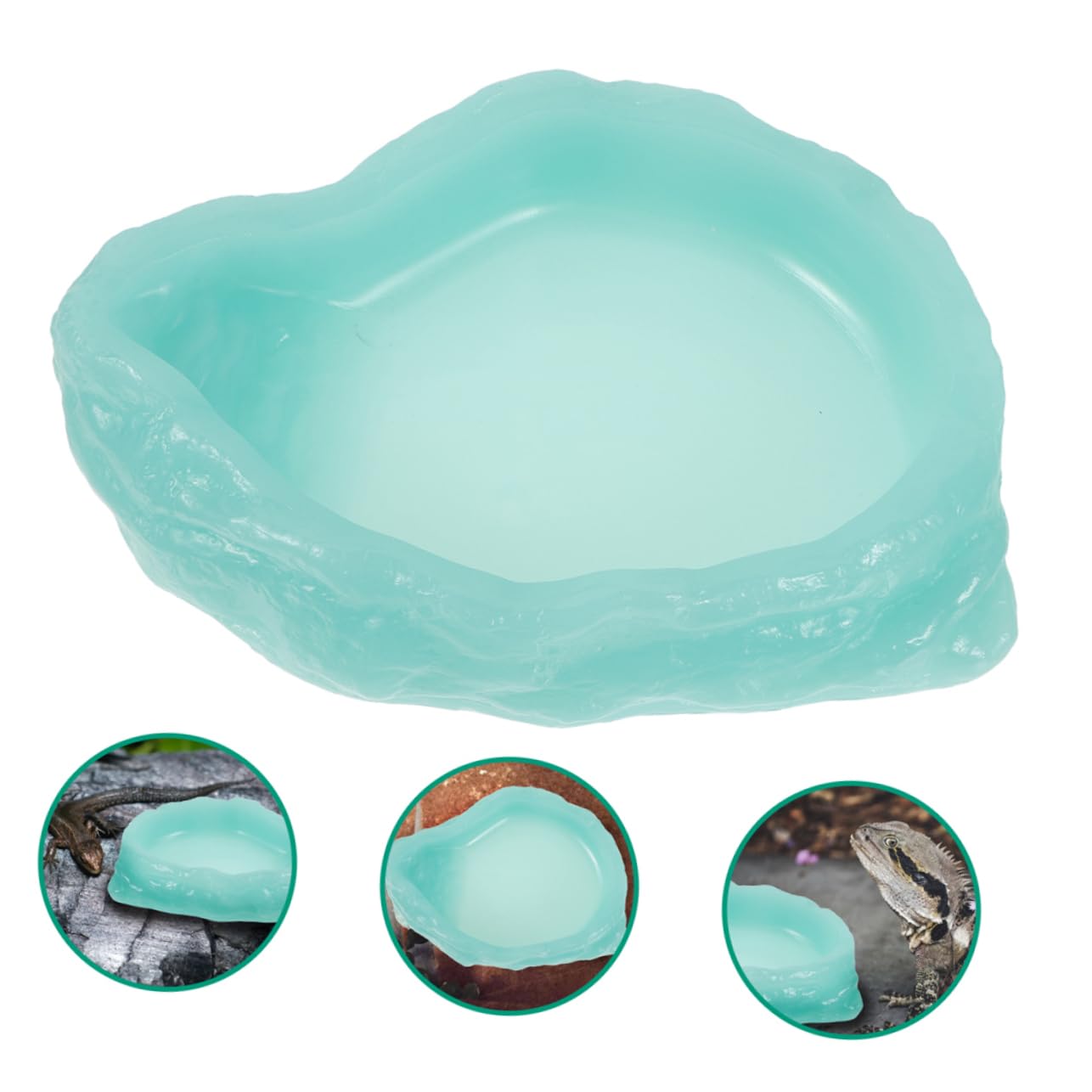 Ciotola Acqua Rettili Luminosa 2 Pezzi in Resina Verde Chiaro | Antiscivolo, per Cibo o Liquidi, Uso Terrario, Finitura Glow in The Dark