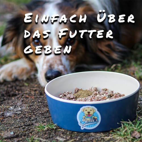 Sollis Fellfinesse | Fellwechselunterstützung für Hunde | Gegen Juckreiz, Dermatitis & Haarausfall | Unterstützung für Haut & Fell von Hunden | 100g