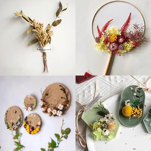 Set natural de flores secas para decoración artesanal miniatura 5