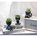 VENY TAYA 3PCS Human-Shaped Potted Artificial Plants Office Decor for Women and Men, Small Fake Plants Decor for Bedroom and Bathroom, Cute Faux Succulent Desk Decor for Office and Home, Black