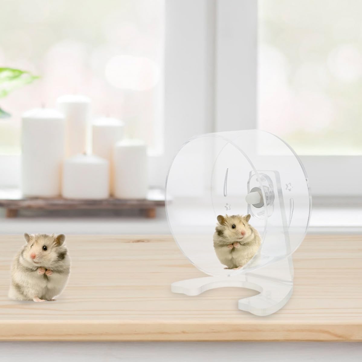 BESTOYARD Roue d'exercice Silencieuse avec Support en Acrylique pour Hamster Intérieur Spacieux et Installation Facile pour Cage d'animaux Petits comme Gerbilles