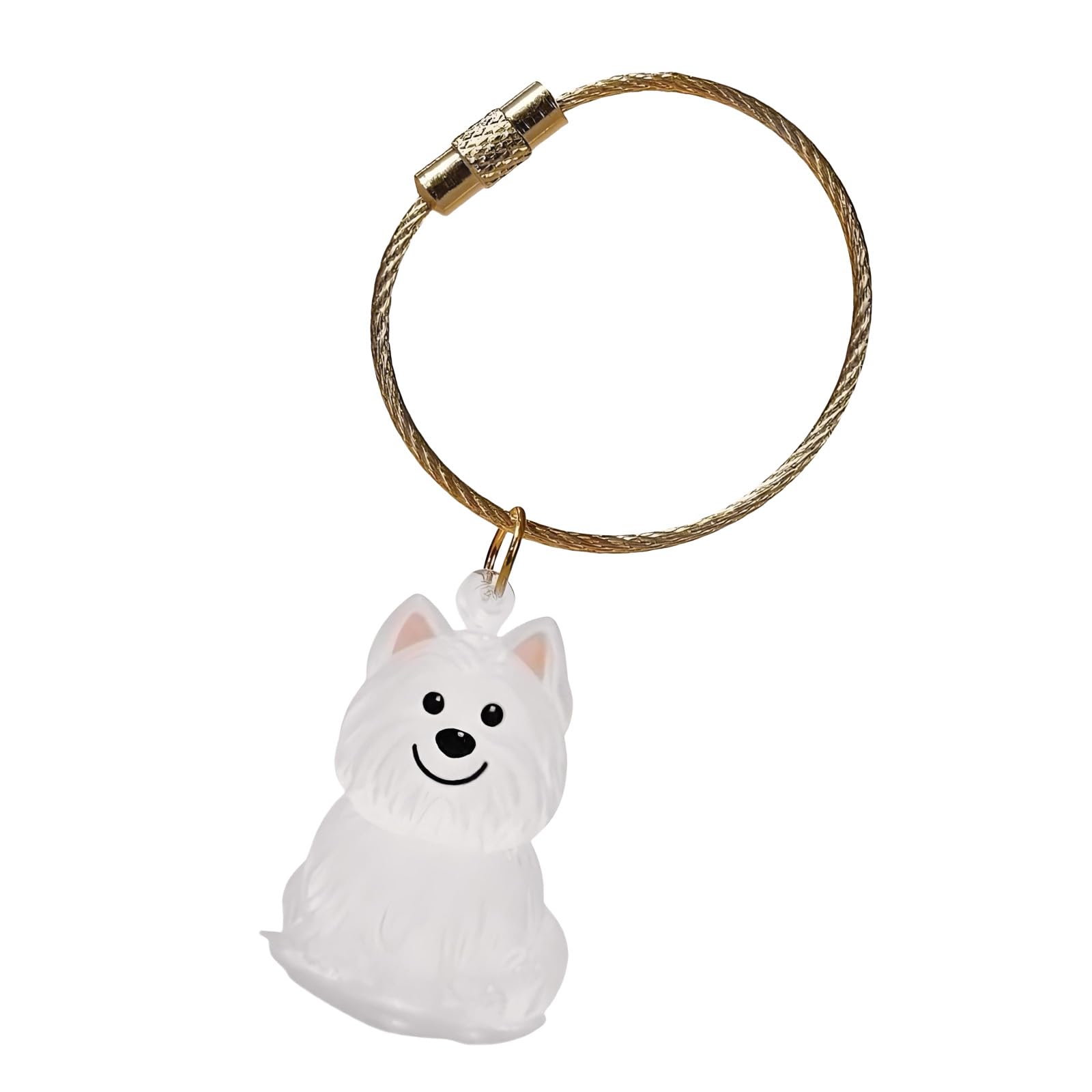 yanwuwa Pet Loss Memorial Keychain Features Visible Hair Storage Chamber and Durability Pet Hair Box Keyring Clear Memorial Box