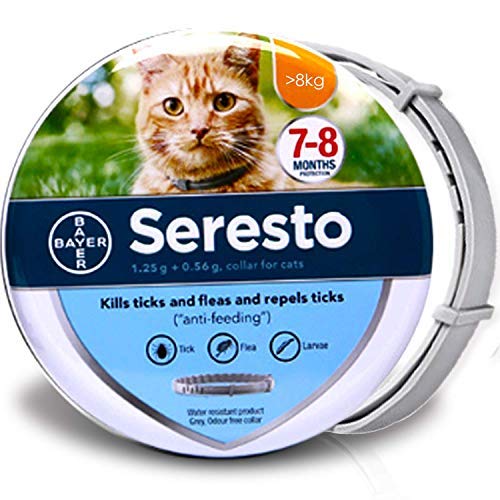 Laxtto Tamaño Ajustable Collar Antiparasitos Antipulgas para Mascota Pequeño Mediano Grandes y Gatos contra Pulgas Garrapatas y Mosquitos 8 Meses de Protección de Efectividad Repelente (Gato)