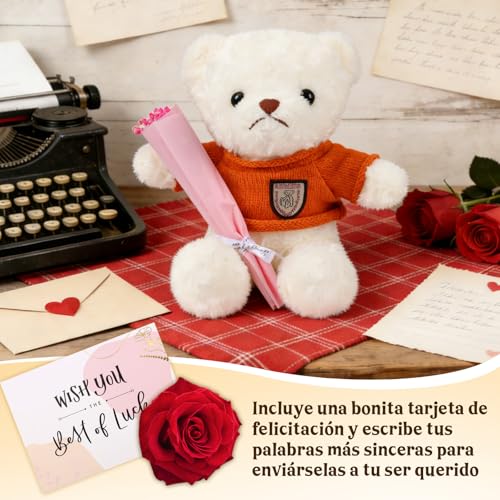 La Mejor Selección de Oso coby precio Top 5. 20 Imagen adicional