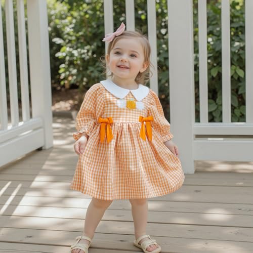 Toddler Little Baby Girl Halloween Outfit Pumpkin Dress Long Sleeve Plaid Smocked Dress Cute Fall Clothes3