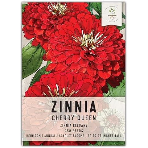 Seed Needs Cherry Queen Zinnia Seeds Cover