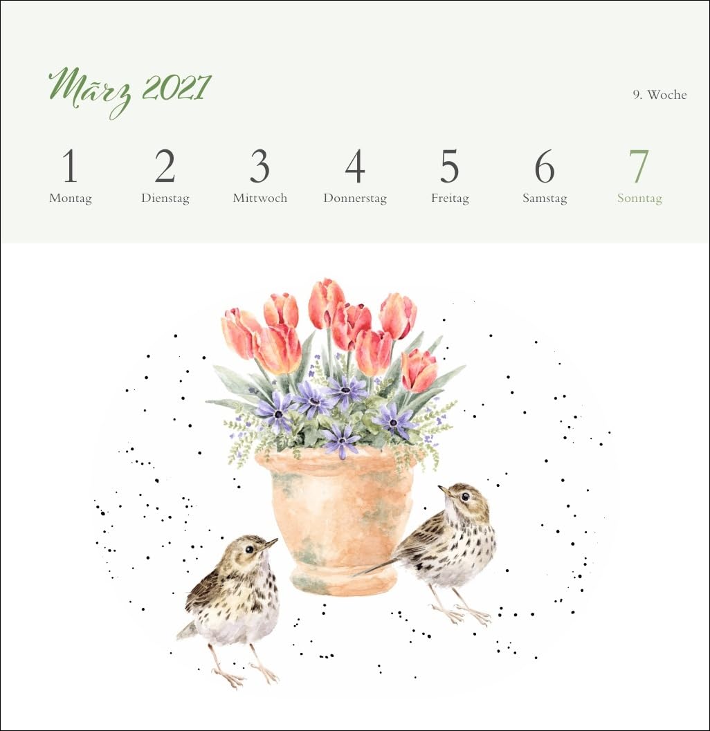 Hannah Dale: Happy Animals Premium-Postkartenkalender 2027: Die schönen Tierzeichnungen der britischen Künstlerin in einem kleinen Kalender zum Aufstellen. Wochenkalender mit 53 Postkarten