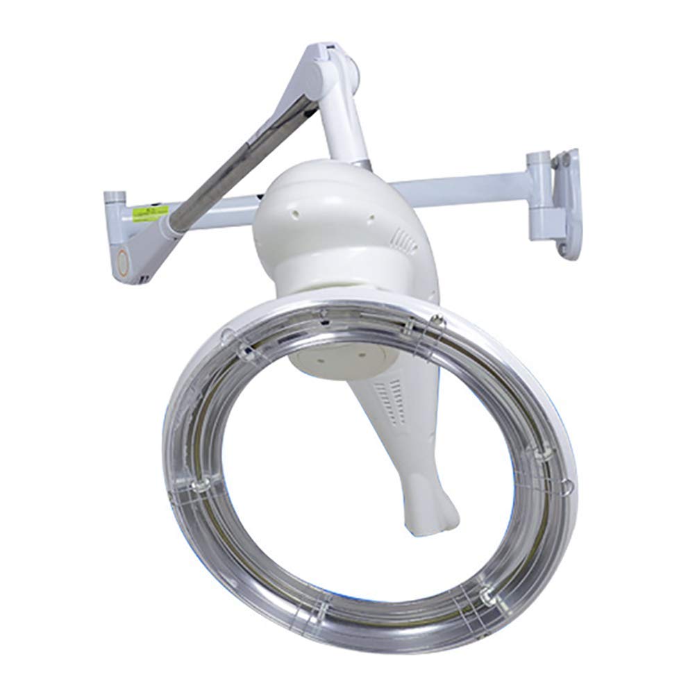 Professionale Casco Asciugacapelli Parrucchiere 950W Timer Parete Montare Salone Attrezzatura
