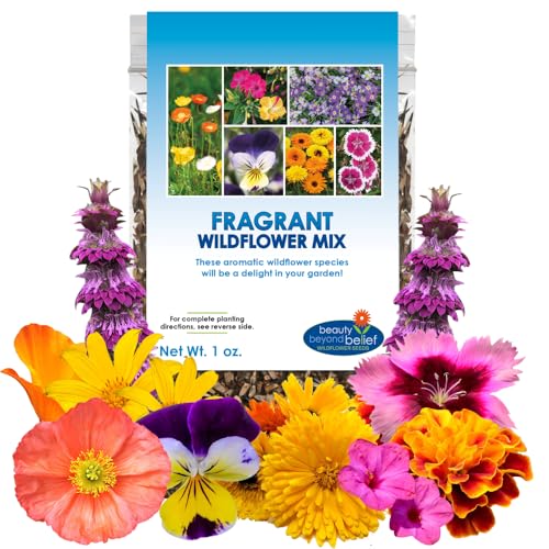 Fragrant Wildflower Seeds Mix - 1oz, Aromatic Annual and Perennial Wildflower Seeds – Create The Perfect Garden.
