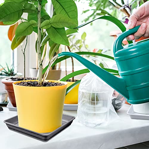 Lnq Luniqi 10 Pcs 6 Inch Square Plastic Plant Saucer Flower Pot Bottom Seat Flower Pot Tray Thick Plastic Drip Tray For Garden Potted Water Drips And Soil （Grey） #TOP6