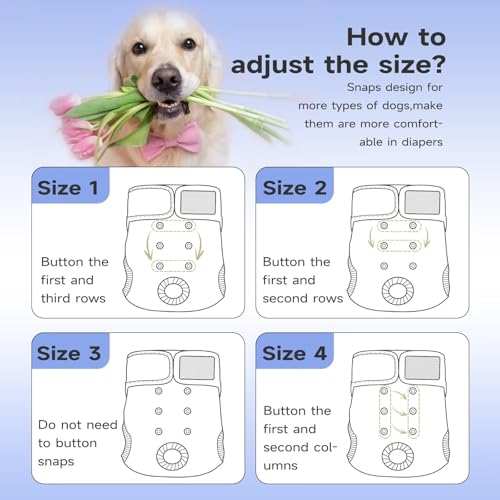 Image of Paw Legend Washable Reusable Female Dog Period Diapers for Heat Doggie Puppy Diapers for Female Dogs (3 Pack, Small)