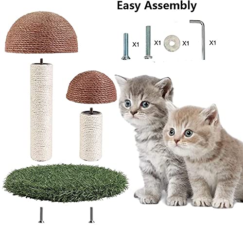 Tour D'arbre à Chat, Arbre à Chat En Forme De Champignon, Griffoir For Chatons, Meubles Grimpeurs, Centres D'activités For Chat Avec Poteaux à Gratter En Sisal For Chatons Jouant, Se Relaxant, Dormant