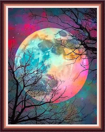 Image of Fanxvivy Stamped Cross Stitch Kits for Beginners Full Range of Cross Stitching Preprinted Embroidery Kits for Adults, 11CT Embroidery Pattern Needlepoint Kits-Magical Moonlight 16x20 inch