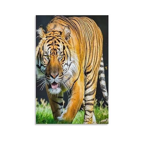 Tableau tigre inspiration sur toile pour salon et chambre IOFEER