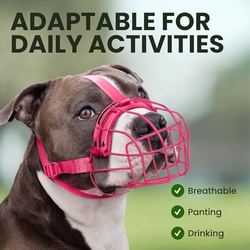 BRONZEDOG Maulkorb für Pitbull Hund aus Atmungsaktivem Metallkorb für Große Hunde Amstaff Staffordshire Terrier Beißen Kauen Bellen