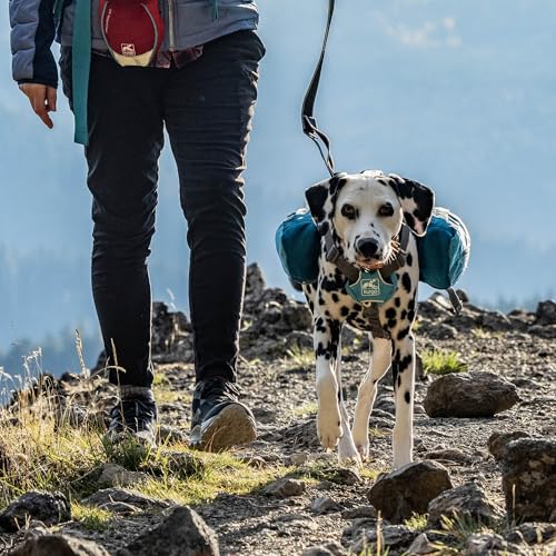 Kurgo Dog Saddlebag Backpack