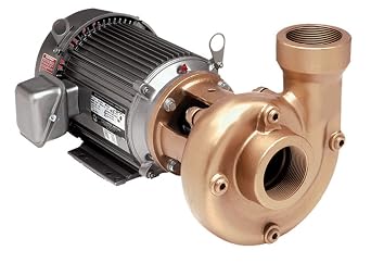 AMT Pump 4261-98 Heavy Duty Straight Centrifugal Pump, Stainless Steel, 10 HP, 3 Phase, 230/460V, Curve E, 3" NPT Female Suction & Discharge Ports