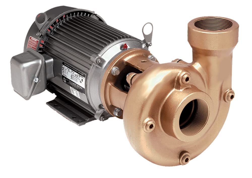 AMT Pump 4261-98 Heavy Duty Straight Centrifugal Pump, Stainless Steel, 10 HP, 3 Phase, 230/460V, Curve E, 3" NPT Female Suction & Discharge Ports