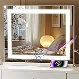 Fenair Vanity Mirror...image