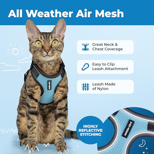 Image of Voyager Escape-Proof Step-in Lock Cat Harness & 5ft Neoprene-Handle Leash Set All-Weather Mesh with Reflective Stitching for Small to Large Cats by Best Pet Supplies, Black Trim-Baby Blue (327), XXXS