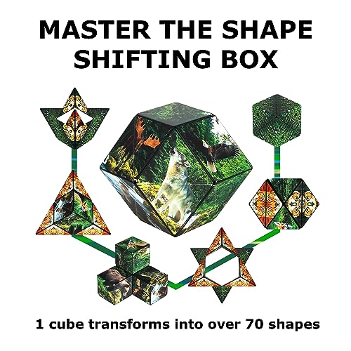 Image of Shashibo DODECA Magnetic Puzzle Cube, Sensory Fidget Toy for Adults & Kids, Stress Relief Fidget Toy for All Ages, Cool Fidget Toys for Desk, Shape Shifting Box, 100+ Possible Shapes