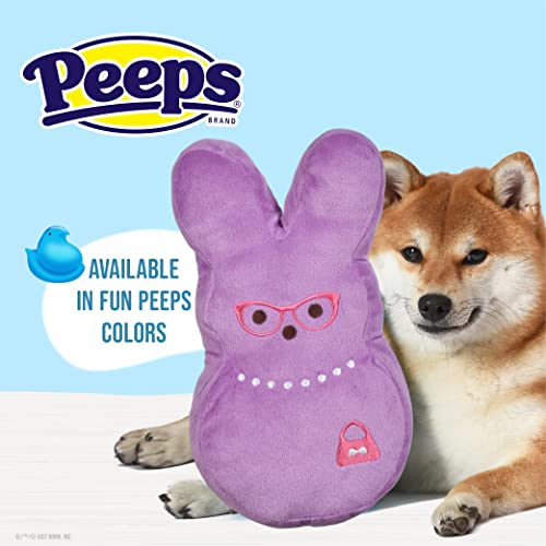 Juguete de peluche Bunny 12 pulgadas para perros miniatura 4