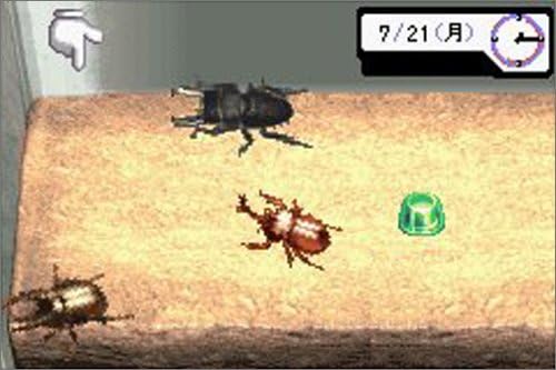 Amazon みんなの飼育シリーズ3 ぼくのカブト クワガタ ゲームソフト Amazon みんなの飼育シリーズ3 ぼくのカブト クワガタ ゲームソフト