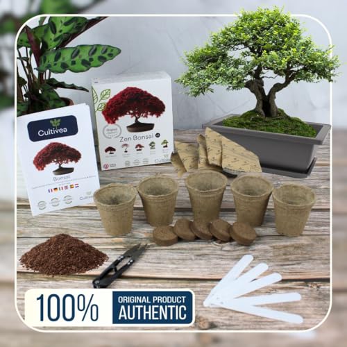 Cultivea Mini - Bonsai Ready-to-Grow Kit - Semi francesi 100% ecologici - Giardino e decorazione - Idea regalo (Mela rossa, Cercis cinese, Cornus Kousa, Albizia, Abete rosso) - 6