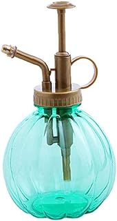 Plant Mini Monsieur Vintage Style décoratif pulvérisation d'eau Bouteille avec Pompe de petite Arrosoir pour les plantes d'intérieur en pot Green 1pc Articles Ménagers