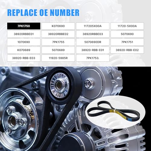 Image of 7PK1750 Serpentine Drive Belt with Acura 2004-2008 TSX Base