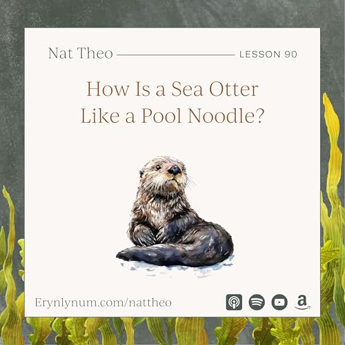 How Is a Sea Otter Like a Pool Noodle? Lesson 90 Podcast Por arte de portada