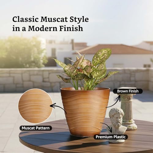 Image of Amazon Brand- Solimo Indoor and Outdoor Round 10 Inch Muscat Flower Planter Pot Best for Terrace /Balcony /Home /Office Decor - Set of 2
