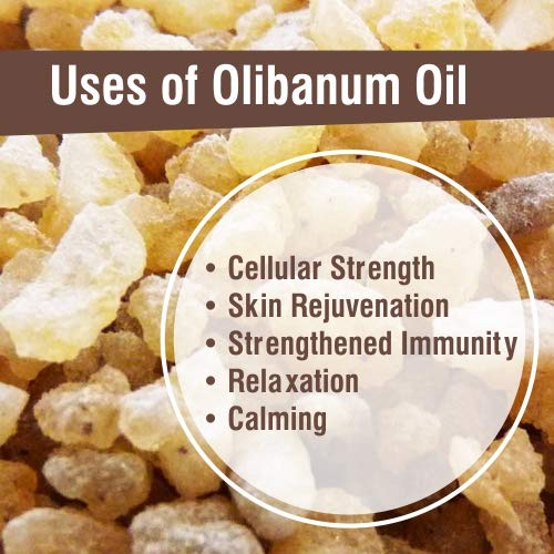 Image of Crysalis Olibanum (Boswellia Serrata) Oil |100% Pure & Natural Undiluted Essential Oil Organic Standard| For Body| For Relaxation| For Skin Therapy |Aromatherapy Oil| 100ml With Dropper