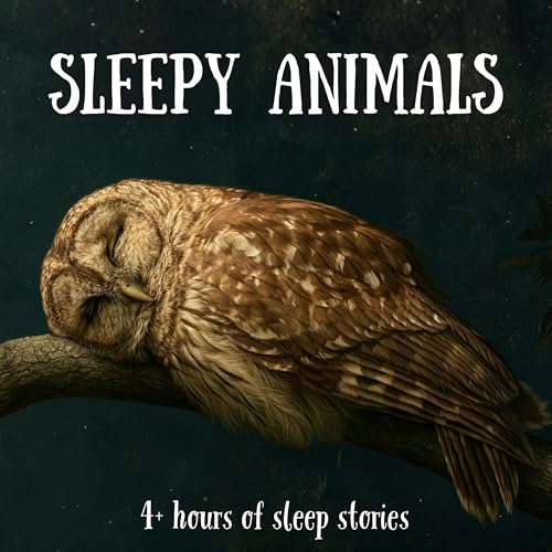 Sleepy Animals | 4 Hours Sleep Story Compilation