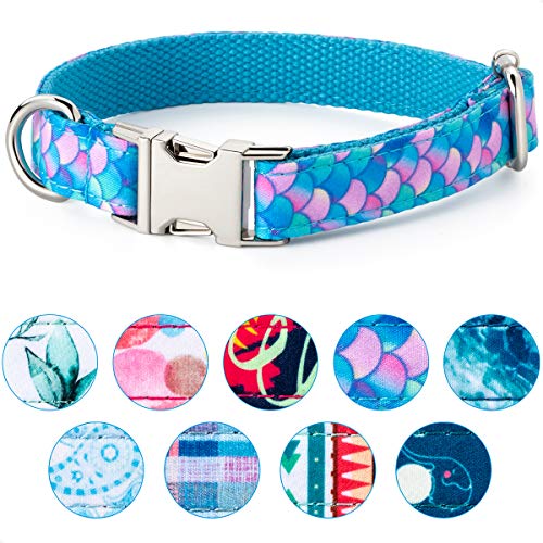 VIILOCK Elegant Dog Collar for Small Medium Large Dogs, Puppy Collar for Girl Dog (Mermaid Blue, S)