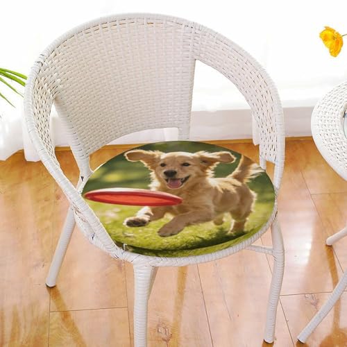 Cojín redondo de cachorro para aliviar sillas duras con funda lavable 7