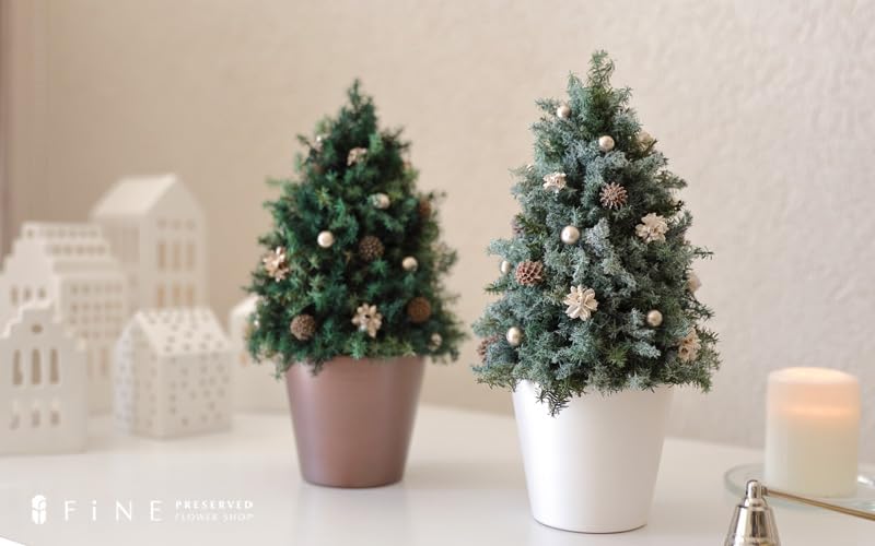 真っ白なクリスマスツリー/ドライフラワー　プリザープドフラワー　クリスマス 真っ白なクリスマスツリー/ドライフラワー プリザープドフラワー