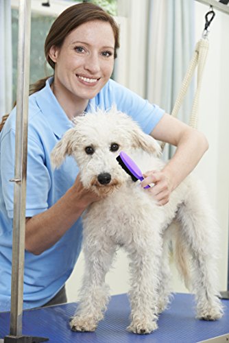 Hertzko-Bristle-Brush-For-Dogs-and-Cats-with-Long-or-Short-Hair-Dense-Bristles-Remove-Loose-Hair-from-Top-Coat-Removes-Tangles-Dander-Dust-Trapped-Dirt-and-Dead-Undercoat-Single-Sided