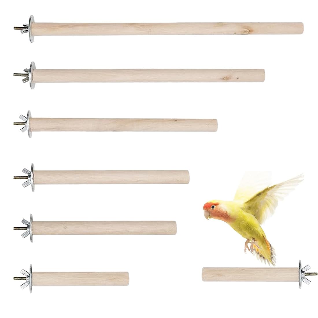 Posatoi in Legno di Uccelli,6 Pezzi Posatoio per Pappagalli, Posatoi per Pappagalli, Giochi per Pappagalli Giocattoli per Pappagalli Accessorio per Gabbia per Uccelli per Cacatua, Parrocchetto