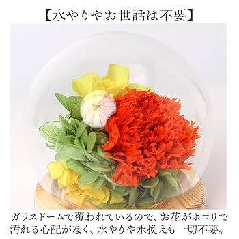 Amazon｜スフィア ガラスドームアレンジメント ガラスドーム 優