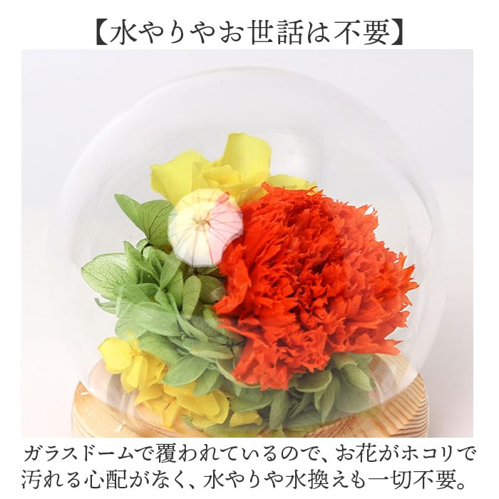 スフィアガラスドーム プリザーブドフラワー ガラスドームアレンジメント セット Amazon｜スフィア ガラスドームアレンジメント ガラスドーム 優