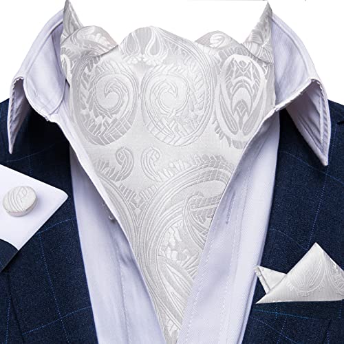 Image of DiBanGu Mens Silk Ascot Ties Paisley Jacquard Woven Cravat and Pocket Square Cufflinks with Lapel Pin for Business Wedding