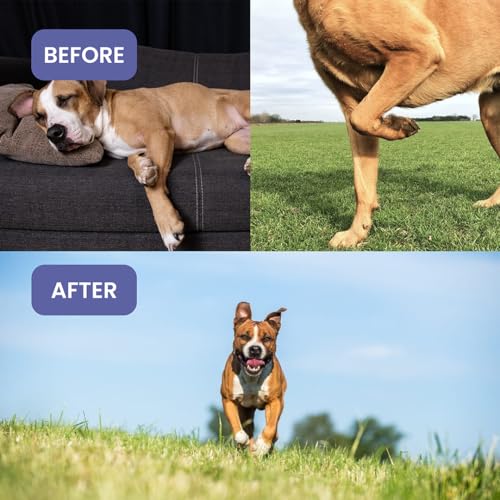 Image of Absolut Pet Hip and Joint-Supplements for Dogs Chews that Improve Mobility & Bone Strength with Glucosamine, Chondroitin & Collagen (30 Chews)